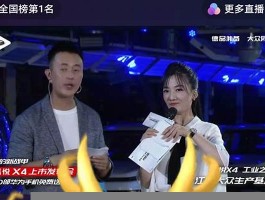 快手涨粉助手全解析：轻松提升粉丝数与互动质量的秘诀