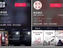 抖音引流费用揭秘：影响因素与价格区间全面解析