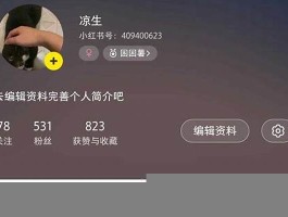 小红书点赞自助平台：快速提升曝光与粉丝的黑科技神器