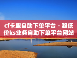 超低价KS业务自助下单平台：助力抖音视频流量与粉丝暴增的神器